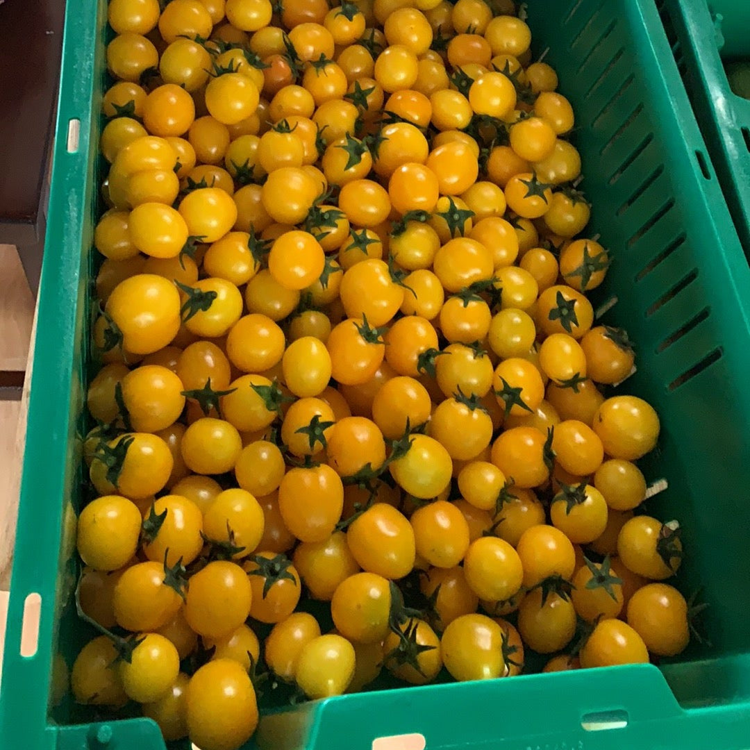 Gold Nugget Cherry Tomato