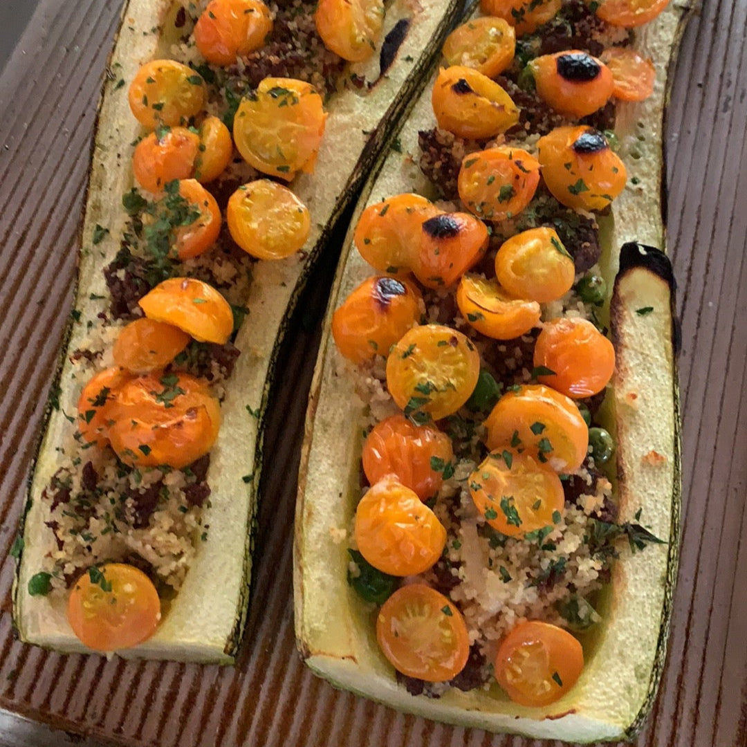 Italian Ribbed Zucchini Summer Squash Garden Start