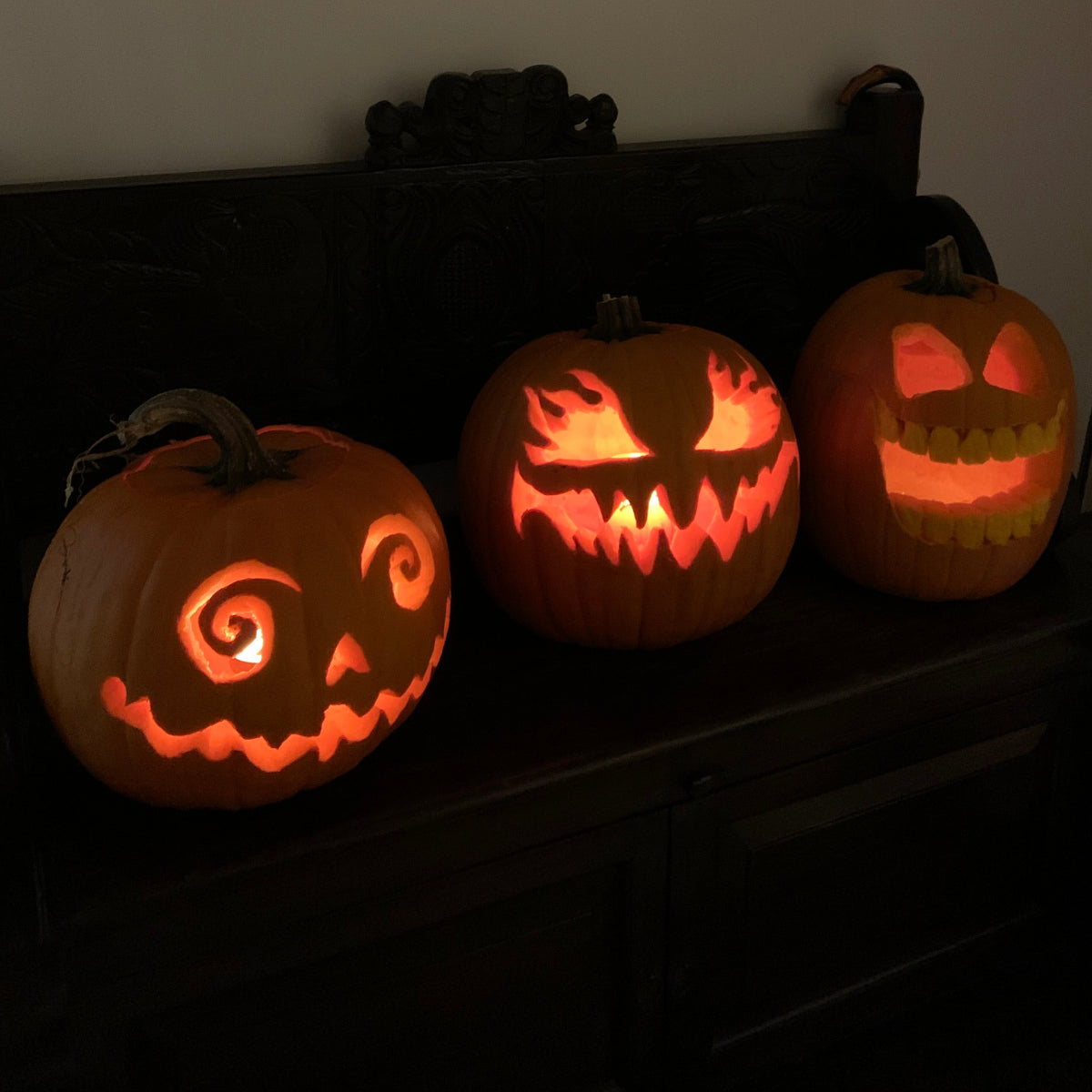 Howden Pumpkin Garden Start