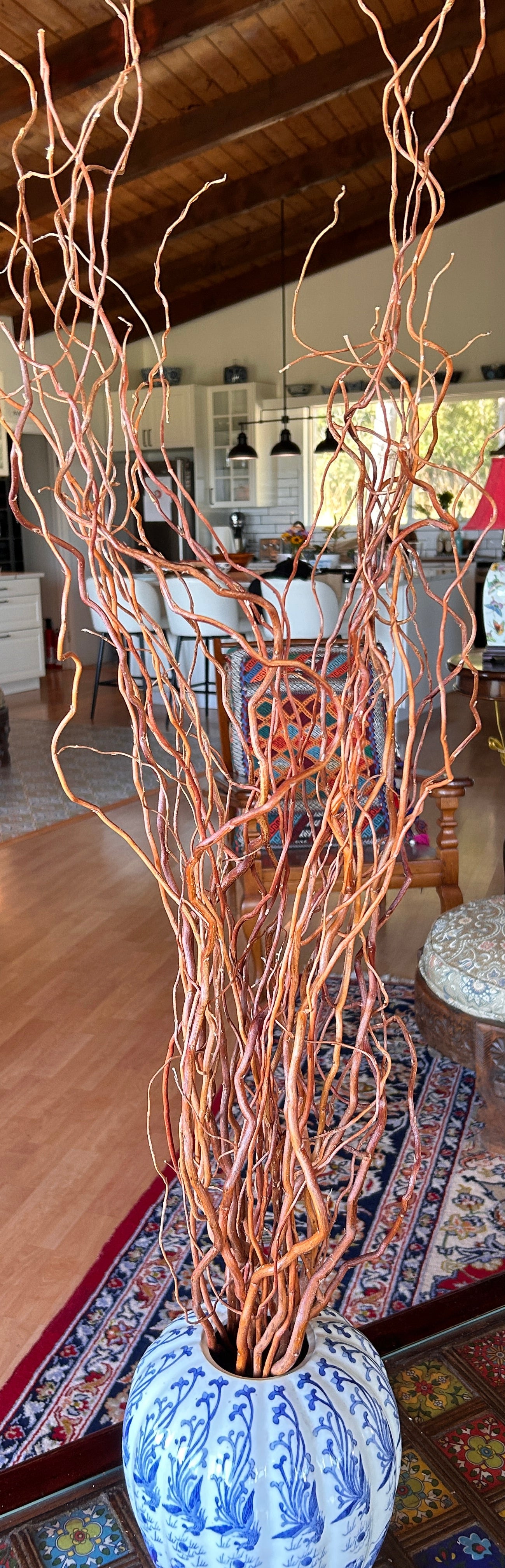 Sunny Twist Willow Small Tree