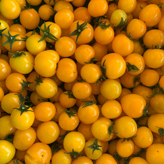 Gold Nugget Cherry Tomato