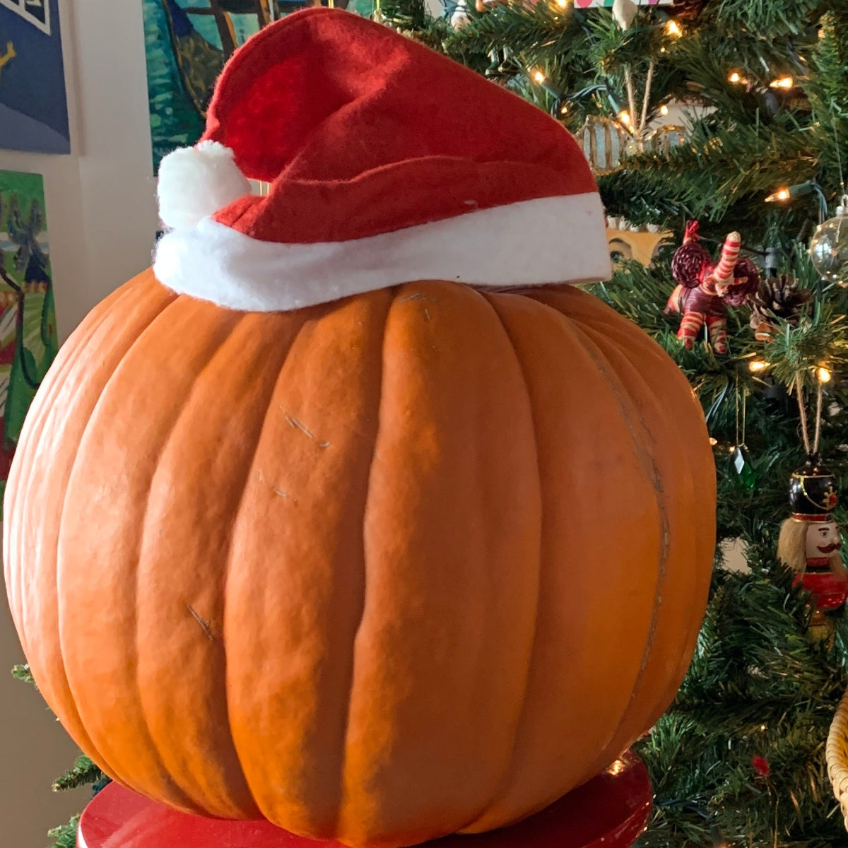 Howden Pumpkin Garden Start