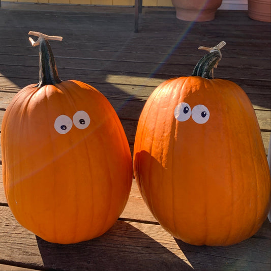 Howden Pumpkin Garden Start