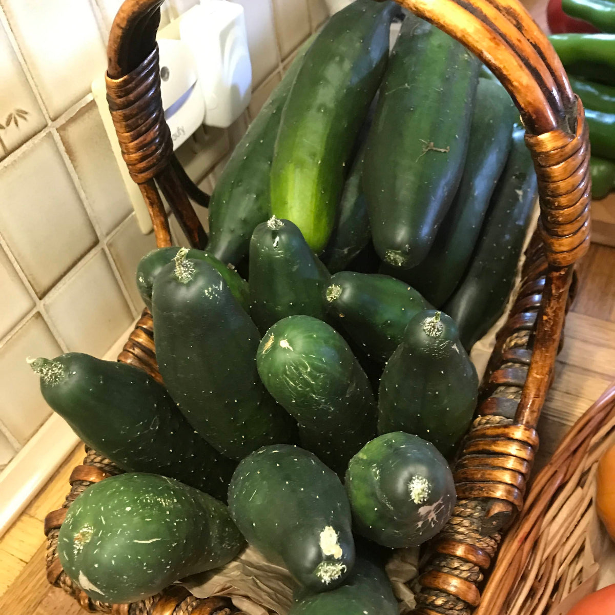 Marketmore 76 Cucumber Garden Start