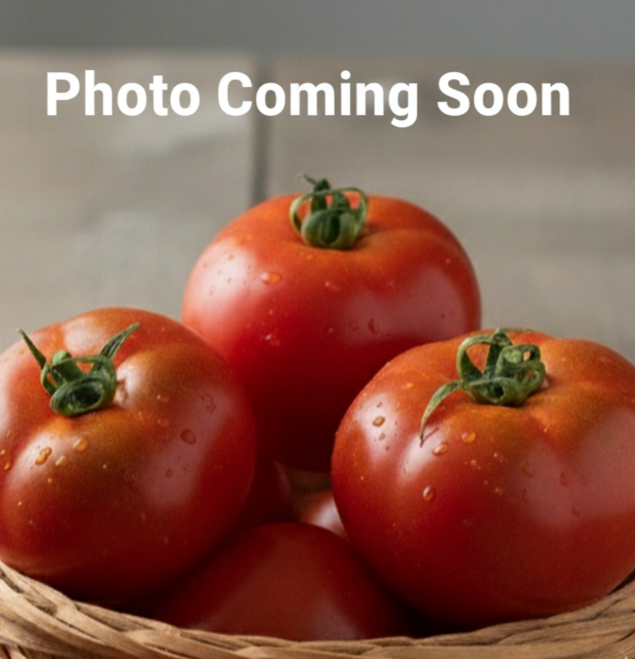 Moskvich Tomato Garden Start