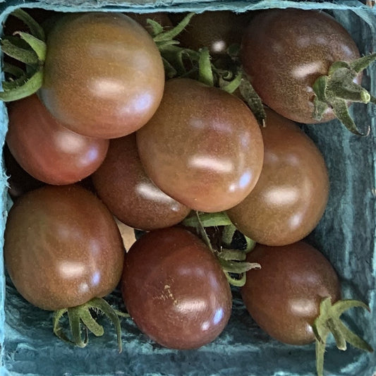 Black Cherry Tomato